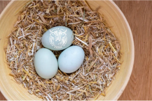 White Ameraucana Hatching Eggs - COMING SOON